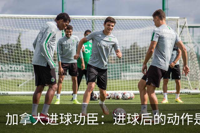 加拿大进球功臣：进球后的动作是给质疑我的媒体，他们可以闭嘴了